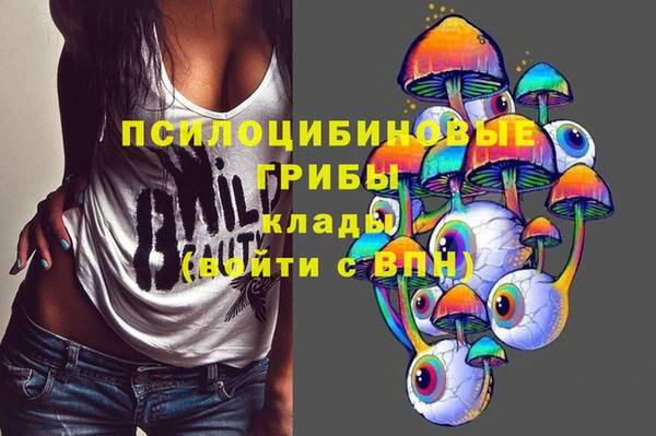гидропоника Баксан