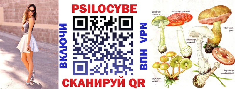 Купить закладки  Свирск  Псилоцибиновые грибы прущие грибы 